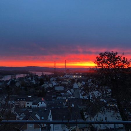 Zum Schoenen Ausblick Weissenthurm 外观 照片