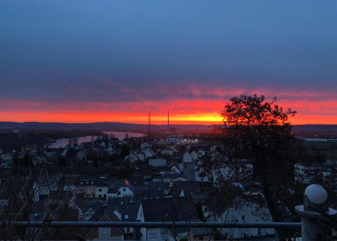 Zum Schoenen Ausblick Weissenthurm 外观 照片